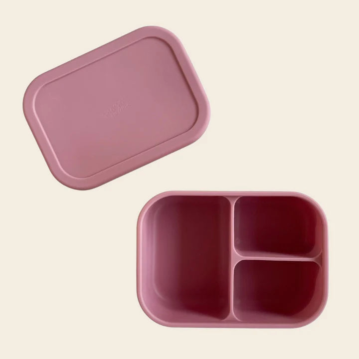 Bento Box 3 Divisiones