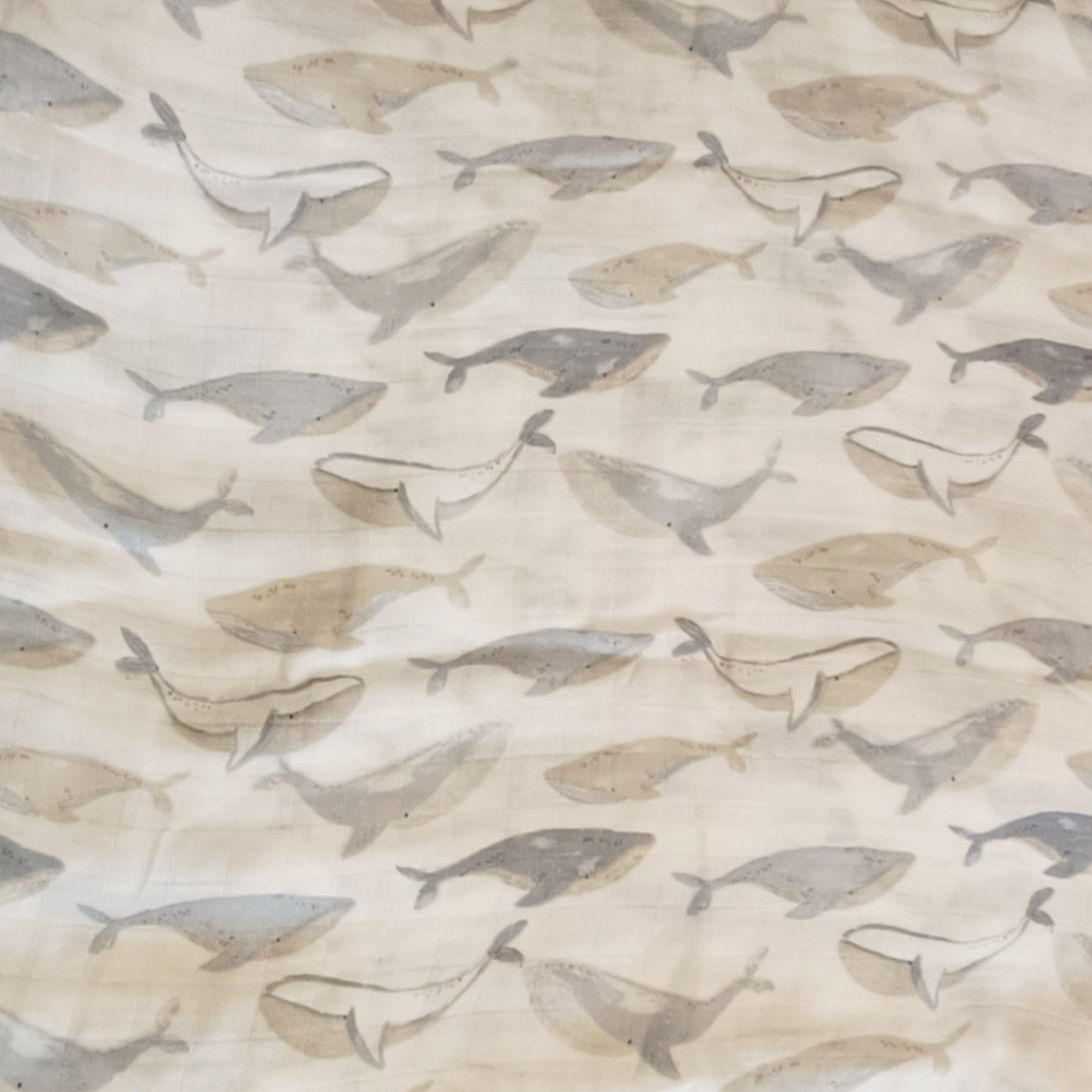 Muselina Beige con Ballenas