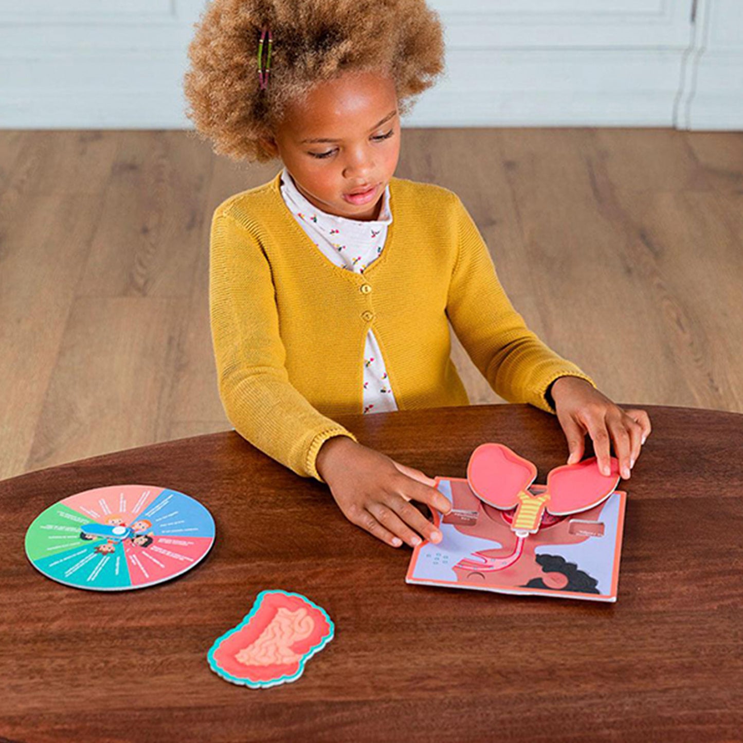 Aprendo en Positivo - El Cuerpo Humano