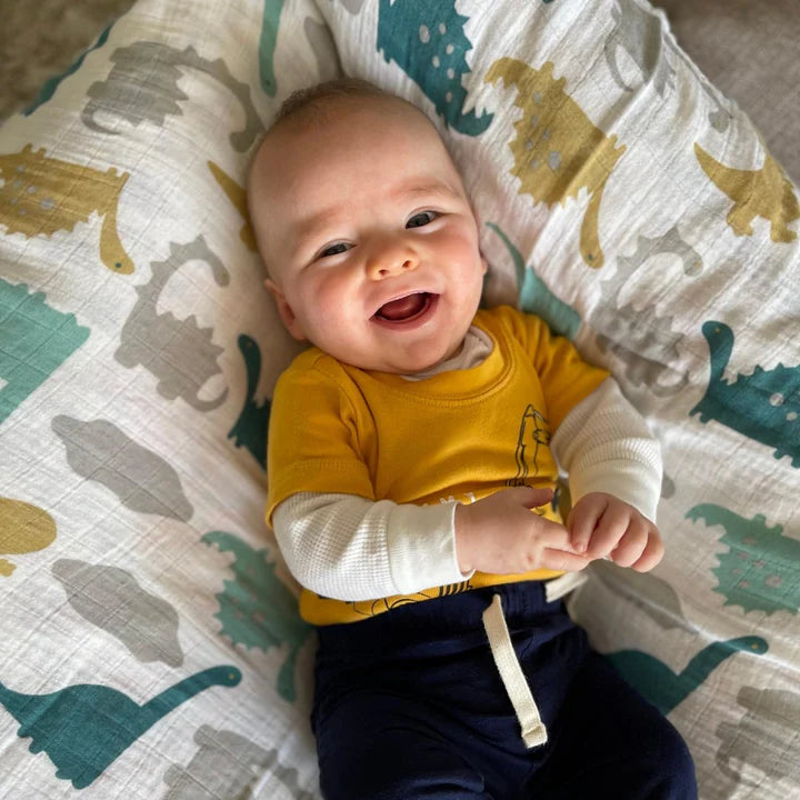 Muselina Dinosaurios