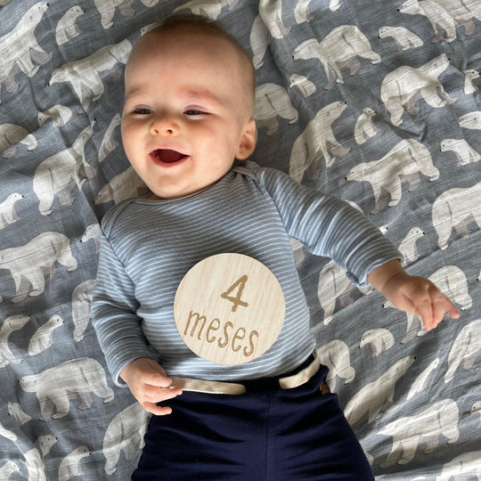 Redondelas De Madera 12 Meses