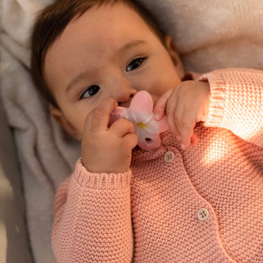 Mini Mordedor - Bella The Flower