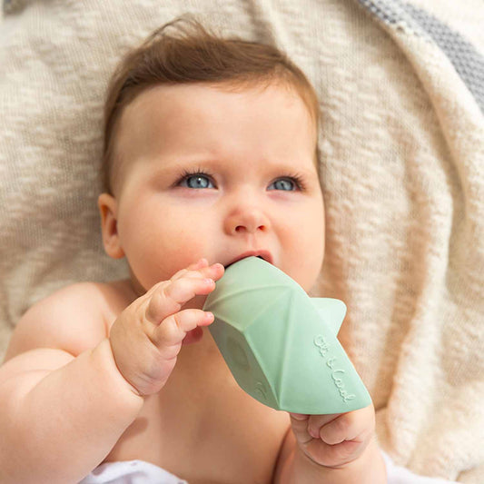 Juguete de Baño - Origami Boat Mint