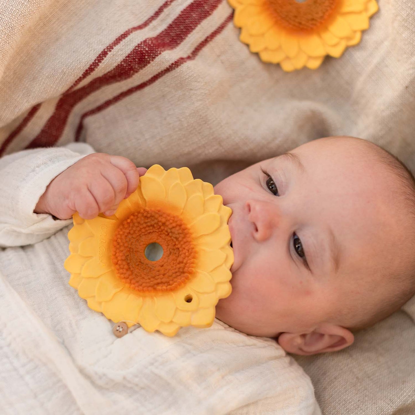 Mordedor - Sun The Sunflower