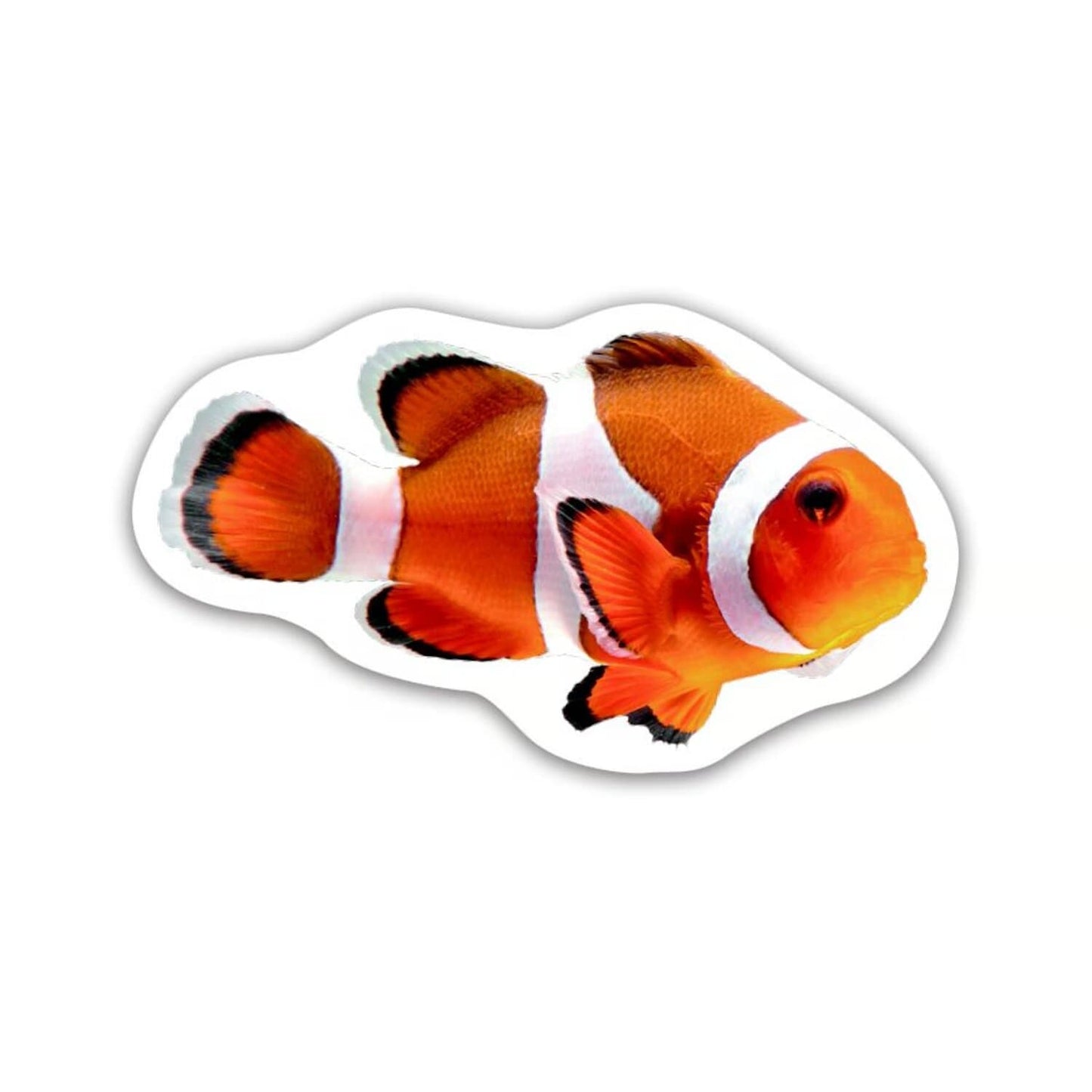 Photographic sticker book animals