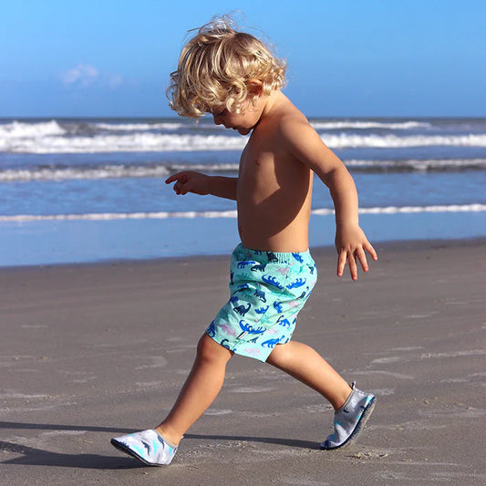 Water Socks - Gray Simple Dino