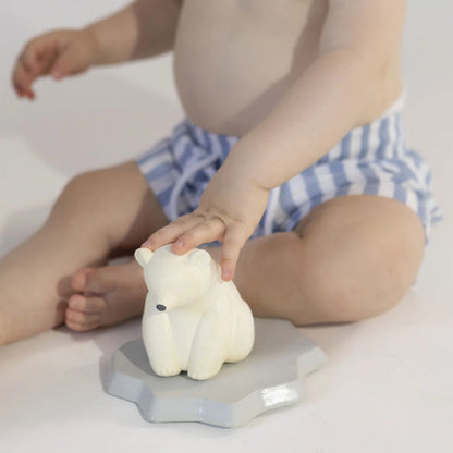 Juguete de Baño - Ice Animals Bear