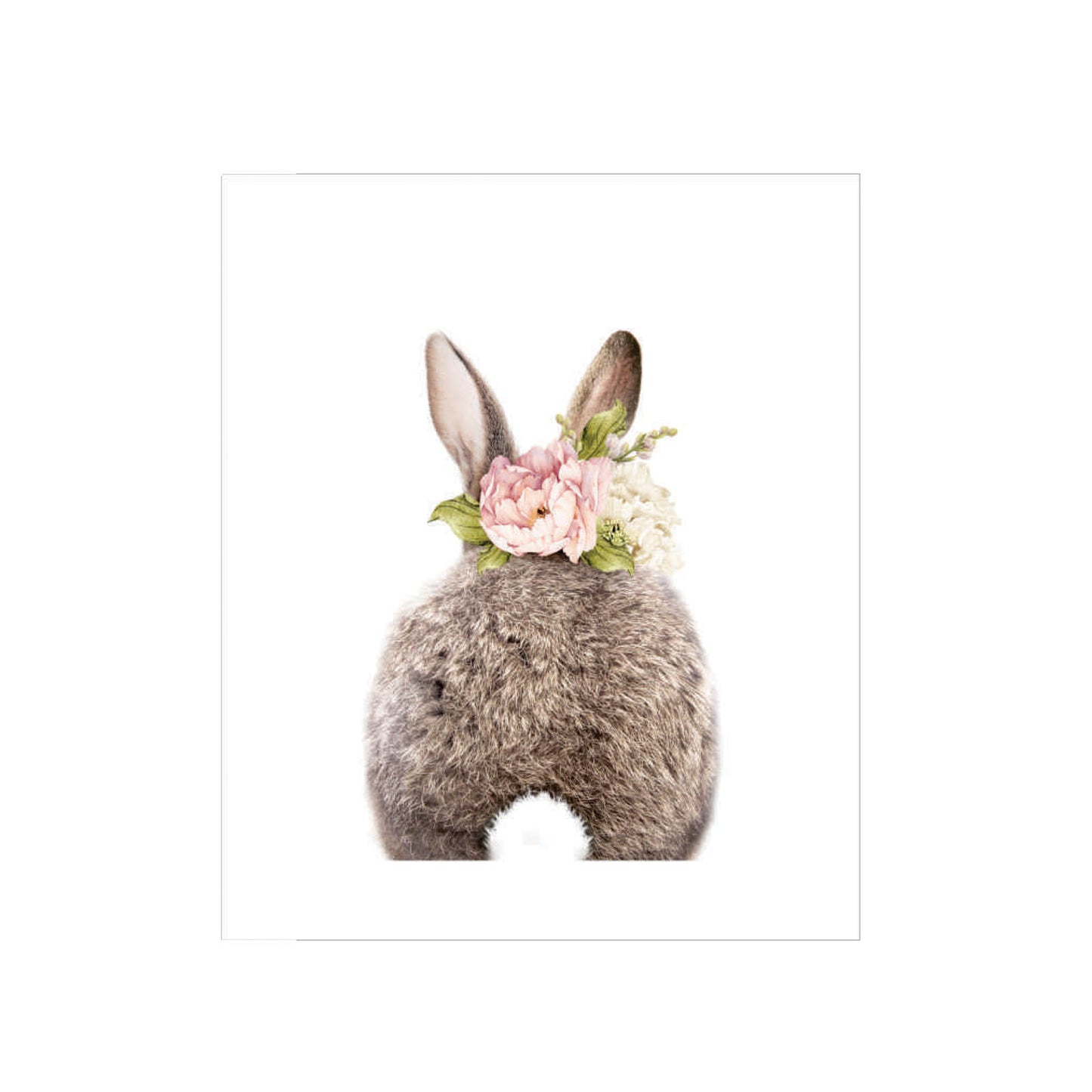 Cuadro Animal Real Poto Conejo - 30x40