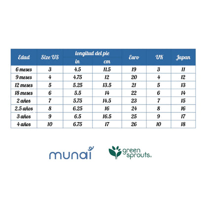 Water Socks - Gray Simple Dino