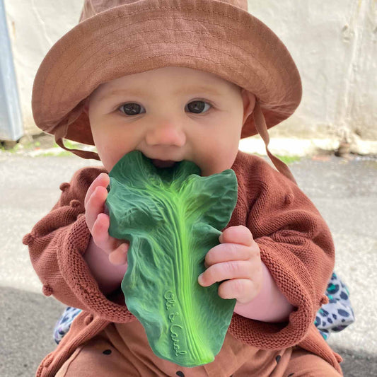 Mordedor - Kendall The Kale