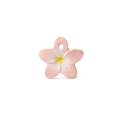Mini Mordedor - Bella The Flower