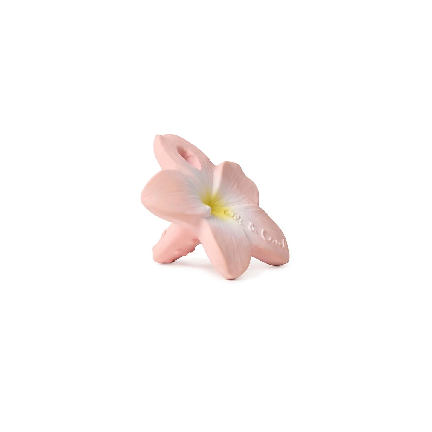 Mini Mordedor - Bella The Flower