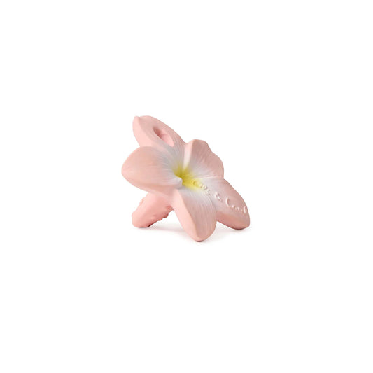 Mini Mordedor - Bella The Flower