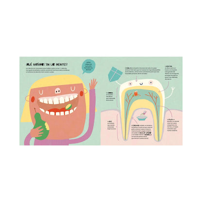 La Vida Secreta de Los Dientes - Zahori Books