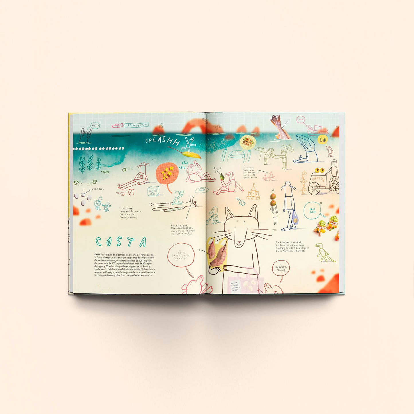 Libro Festín Recetas y Super Alimentos del Perú