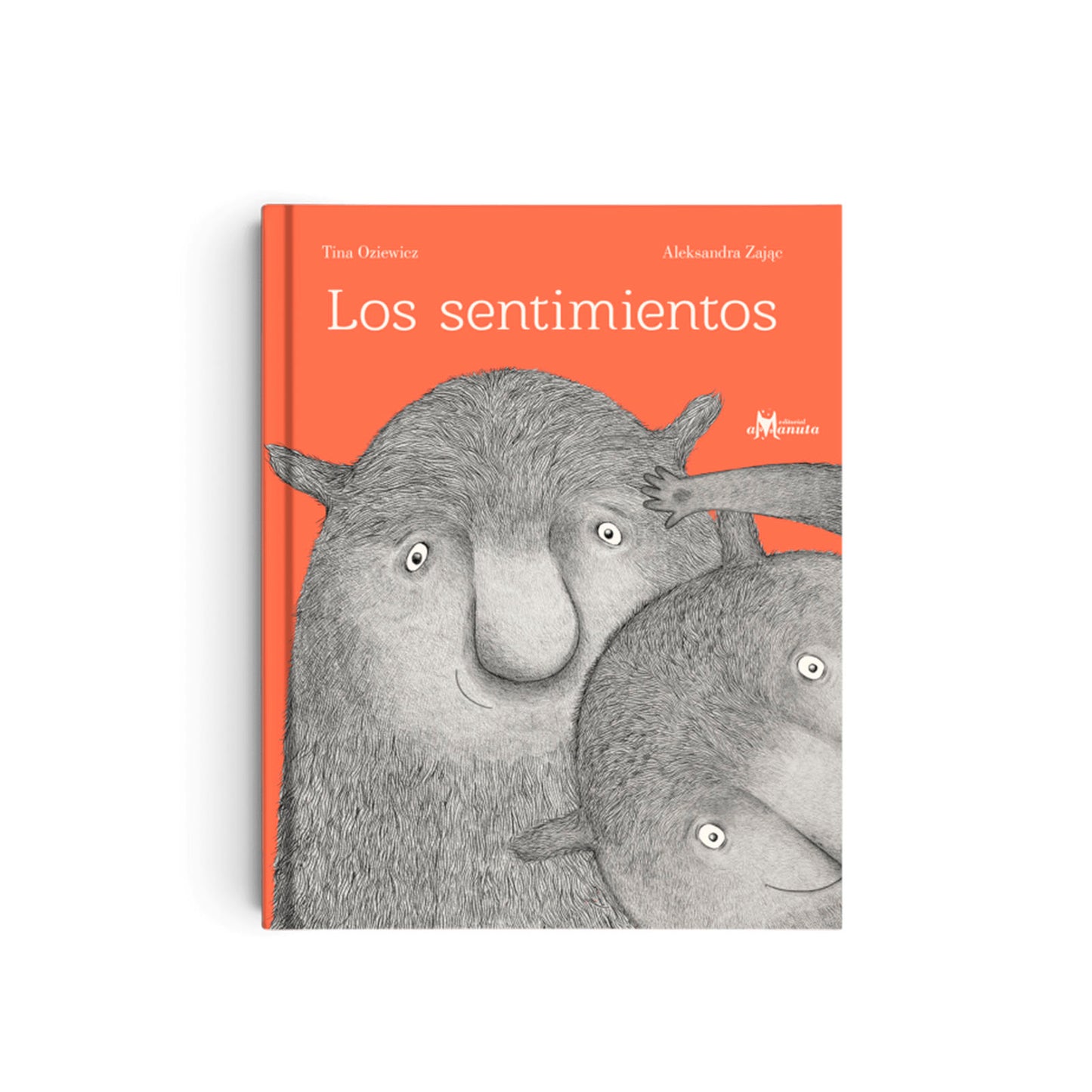 Libro los Sentimientos - Amanuta