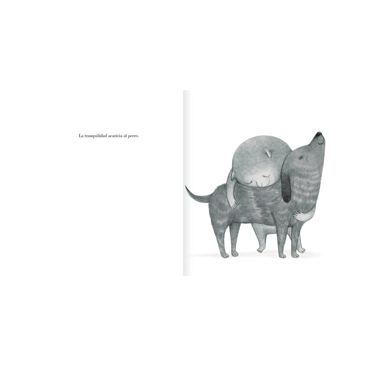 Libro los Sentimientos - Amanuta
