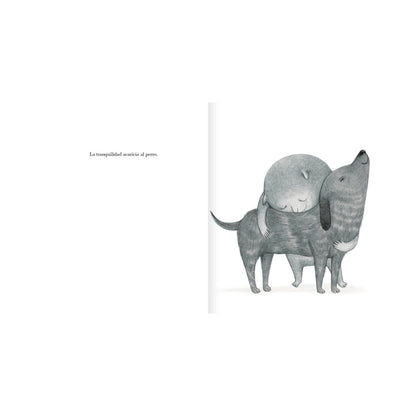 Libro los Sentimientos - Amanuta