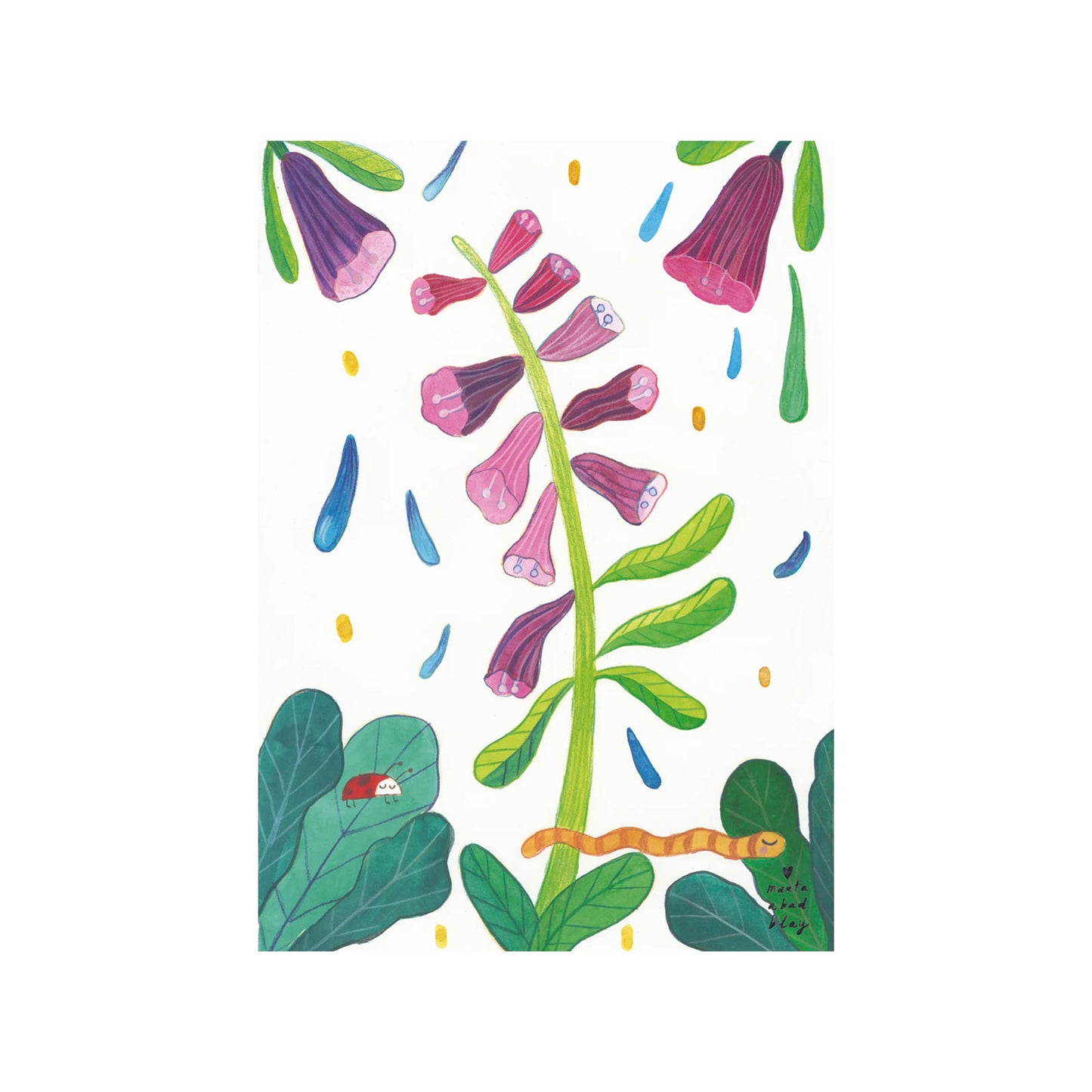 Print Botanicals - 50x70 cm