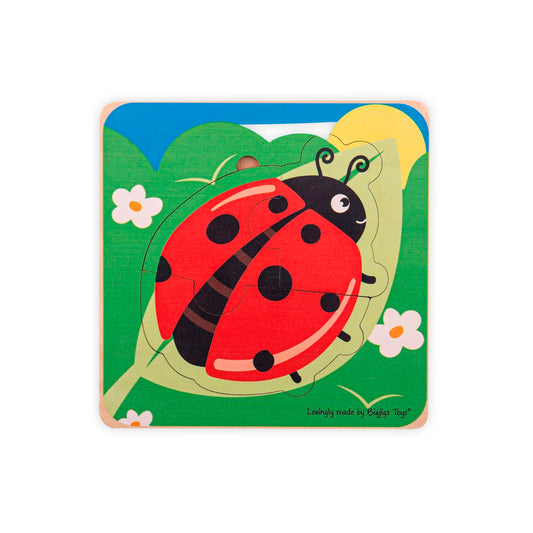 Rompecabezas Mariquita Ciclo de Vida