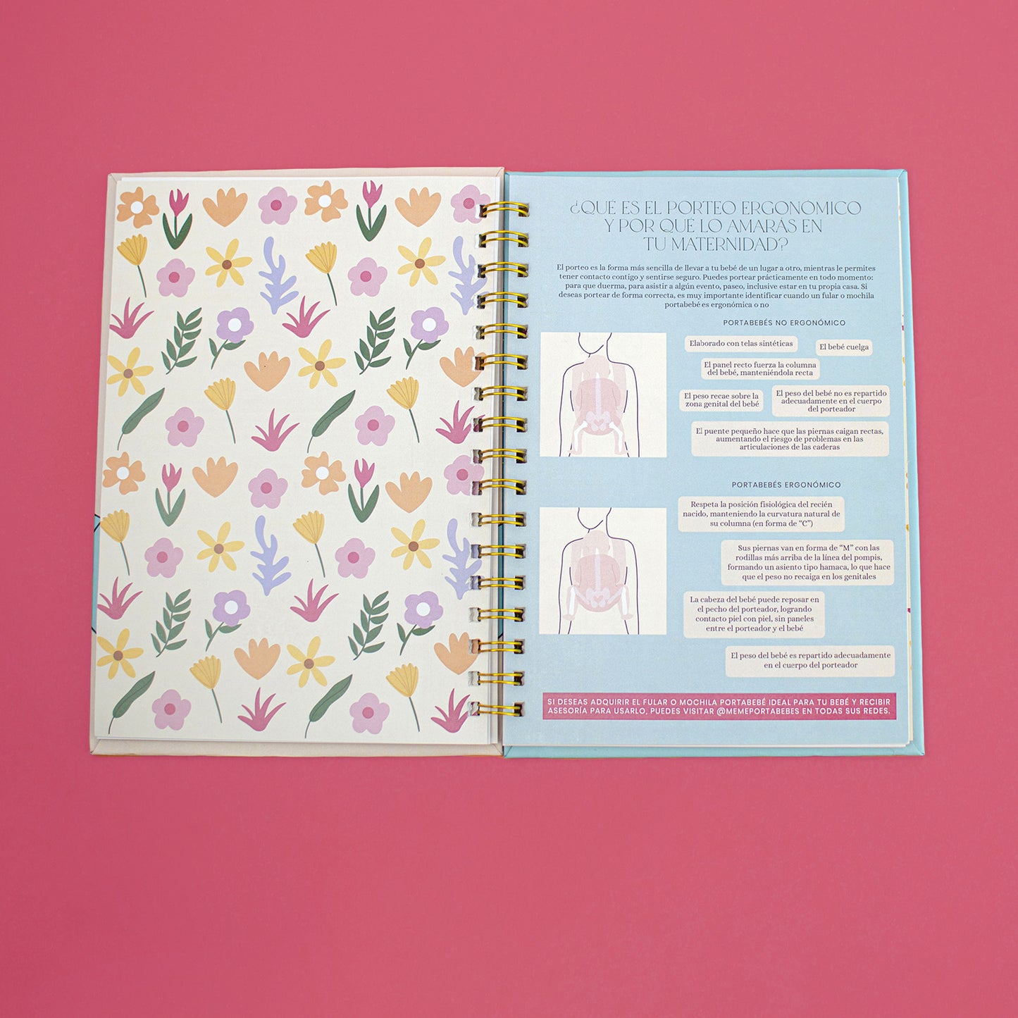 Agenda Un Día a la Vez - Mis Primeros 6 Meses Como Mamá