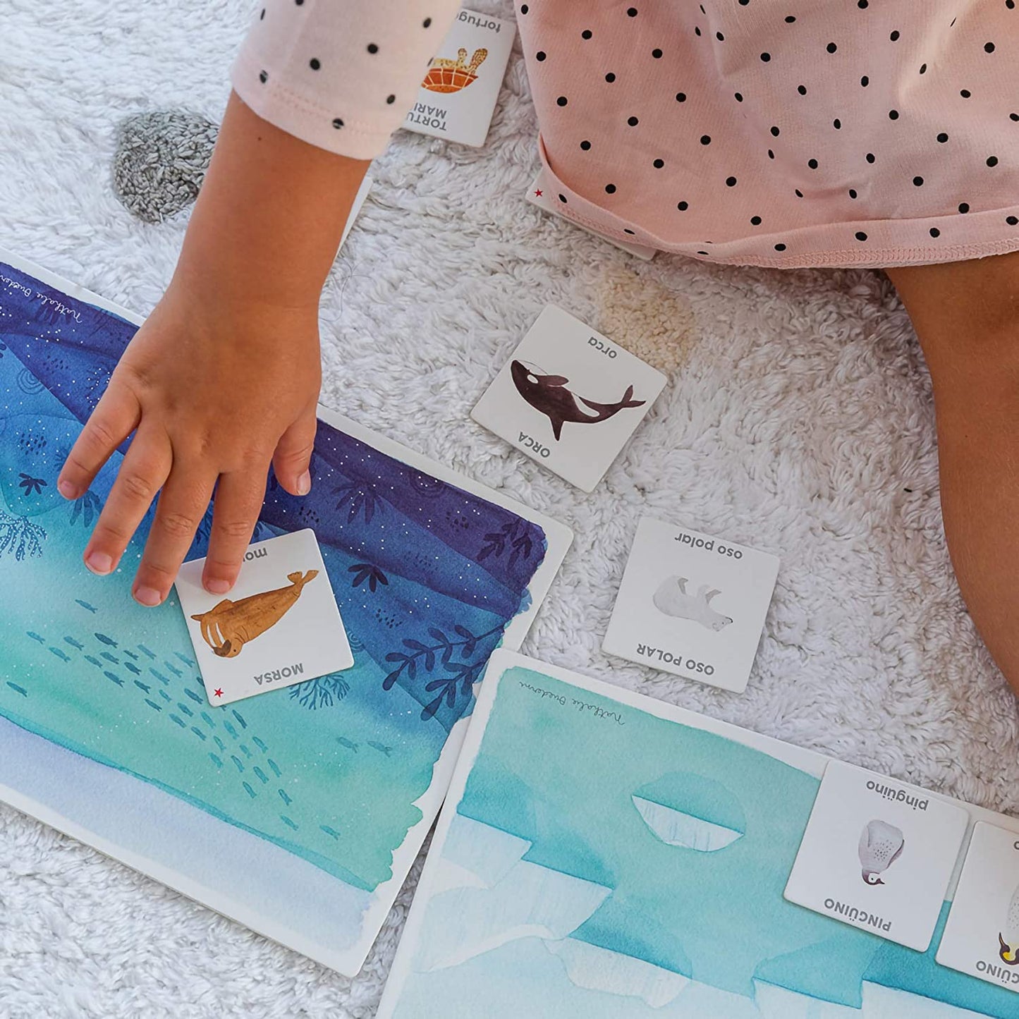 Aprendo en Positivo - Los Animales