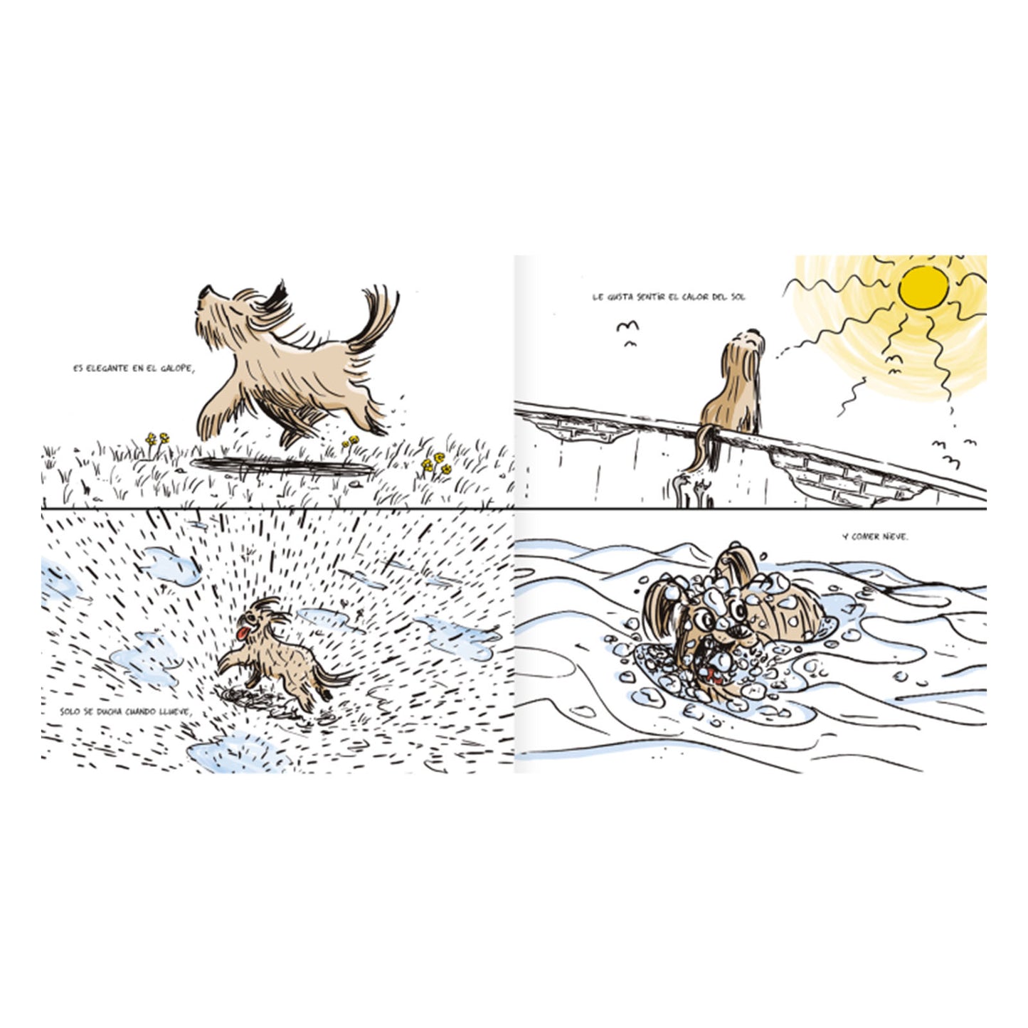 Libro simplemente Burrus - Amanuta