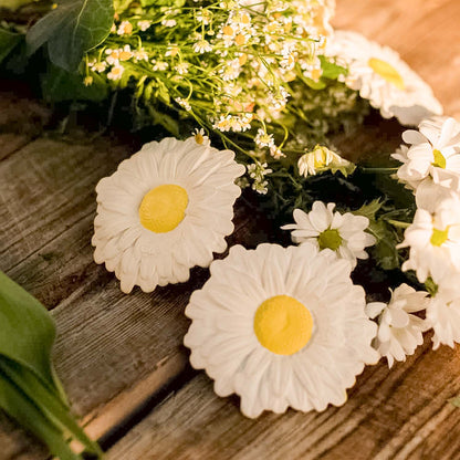 Mordedor - Margarita The Daisy
