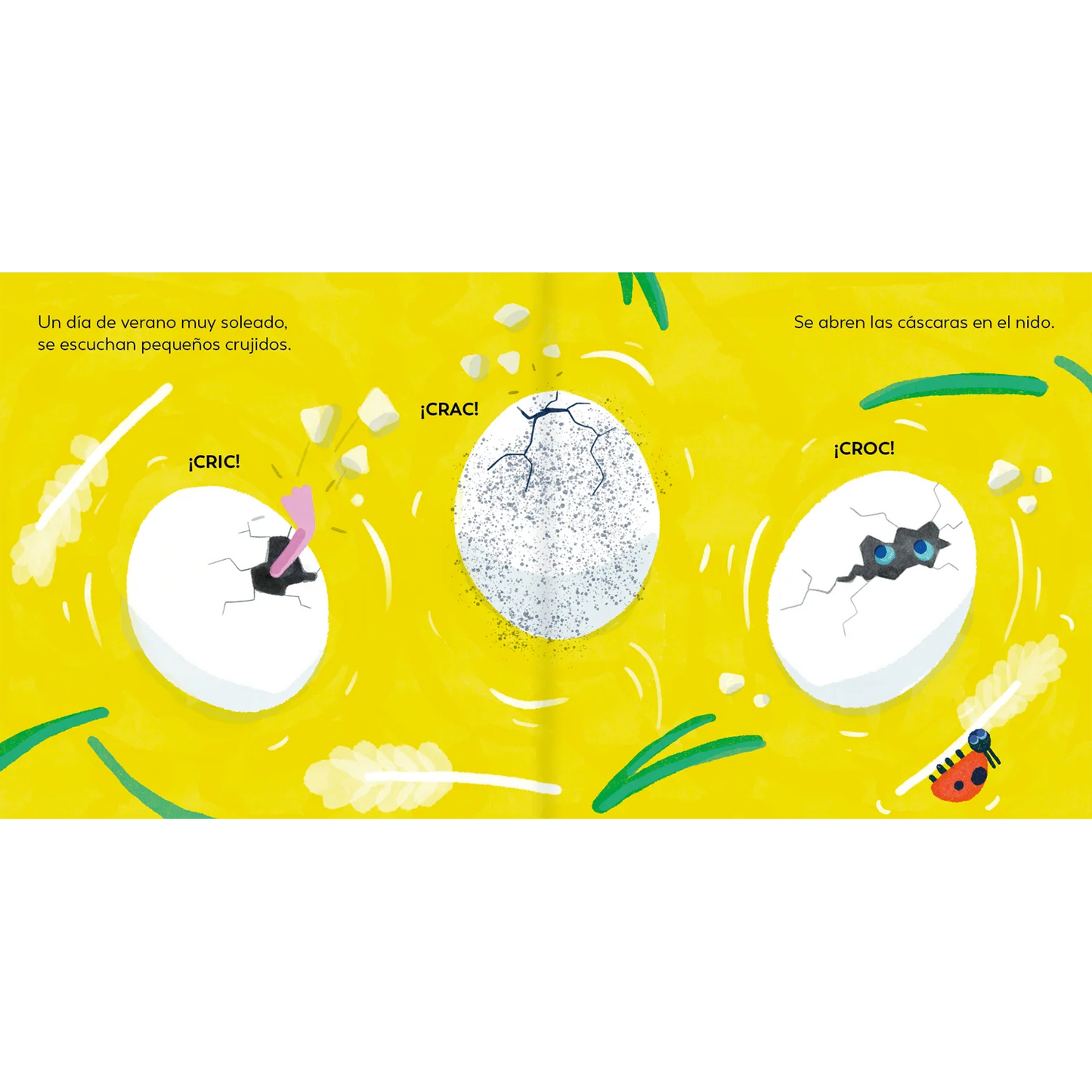 Patito Feo - Amanuta