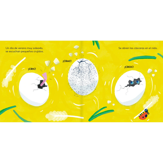 Patito Feo - Amanuta