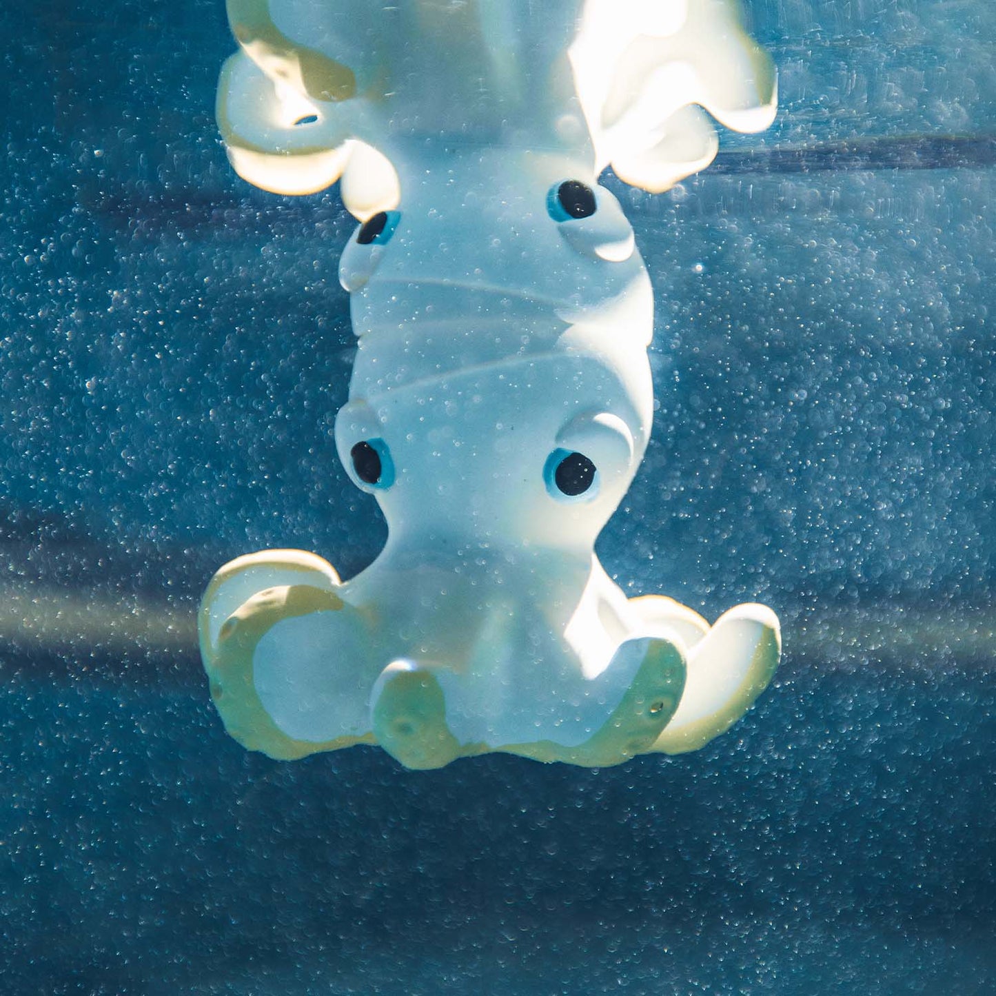Juguete de Baño - Big Stuffed Octopus