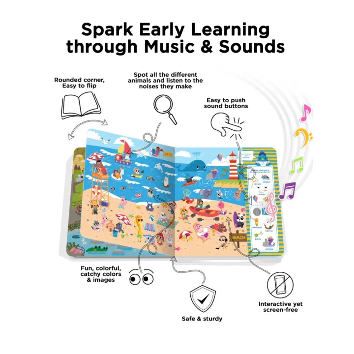 Ditty Bird - ¿Dónde está Ditty Bird? en Ingles